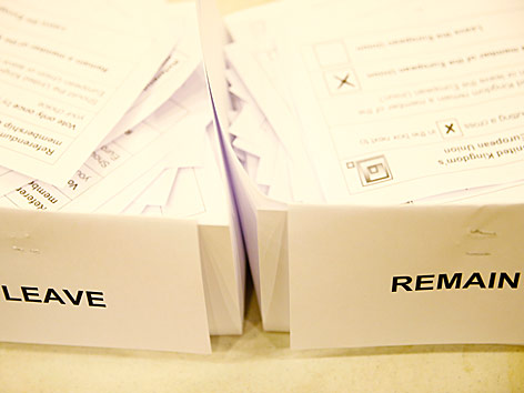 © Reuters/Neil Hall Boxen für "Leave" und "Remain"