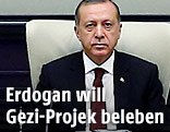 Türkeis Ministerpräsident Erdogan