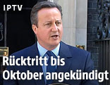 Der britische Premierminister David Cameron
