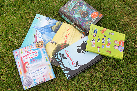 © ORF.at/Michael Baldauf Bücher in einer Wiese