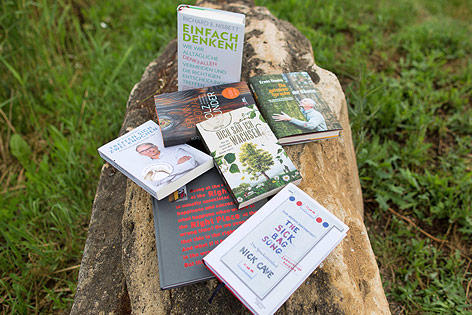 © ORF.at/Michael Baldauf Bücher auf einem Stein