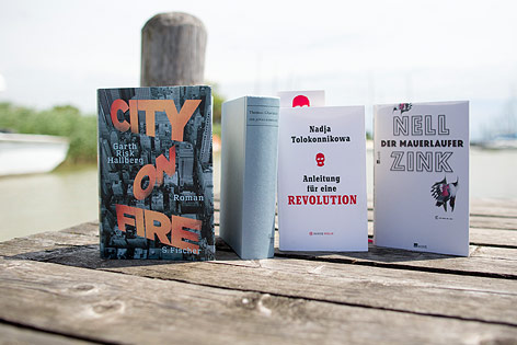 © ORF.at/Michael Baldauf Bücher auf einem Steg