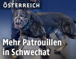 Polizeihund