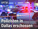 Polizeiautos