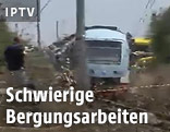 Verungl&uuml;ckte Z&uuml;ge