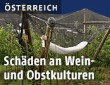 Weing&auml;rten
