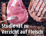 Fleisch