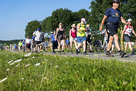 © APA/AFP/ANP/Piroschka van de Wouw Wanderer in Nimwegen