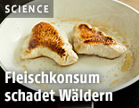 Gebratenes Fleisch auf einem Teller