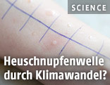 Allergietest