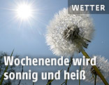 Sonne