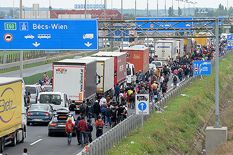 © APA/Roland Schlager Flüchtlinge auf der ungarischen M1 Autobahn am Weg nach Österreich