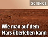 Marslandschaft