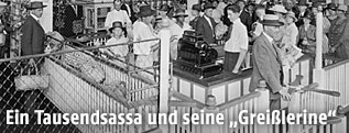 Piggly-Wiggly-Supermarkt