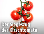 Kirschtomaten