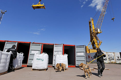 © Reuters/Enrique Marcarian Fahnder mit Hund im Hafen von Rosario (Argentinien)