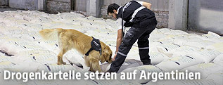Ein argentinischer Fahnder durchsucht mit einem Drogenhund Reissäcke