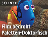  	Szene aus Disneys "Findet Dorie"