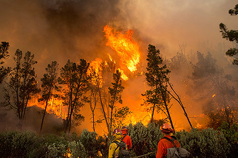 © APA/AP/Noah Berger Waldbrände in Kalifornien