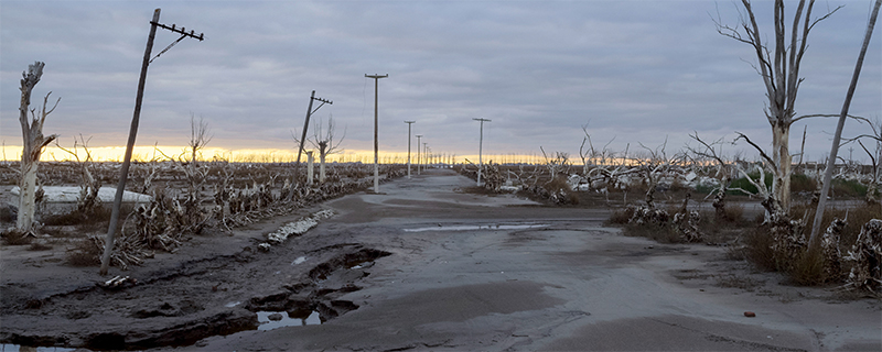 Filmstill aus "Homo Sapiens"