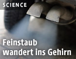 Auspuffanlage eines Autos