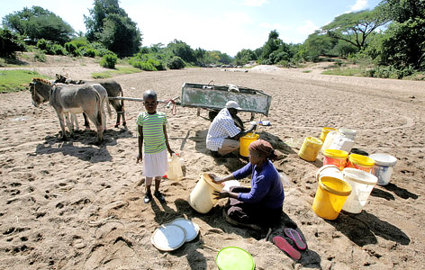 © Reuters/Philimon Bulawayo Bewohner von Masvingo (Zimbabwe) suchen in einem ausgetrockneten Fluss nach Wasser