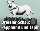 P. Dressler, Portfolio zum Buch "Das Wiental"