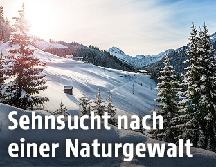 Verschneite Landschaft