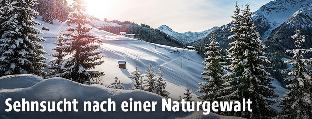 Verschneite Landschaft