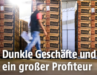 Lieferant vor Kisten mit Bananen