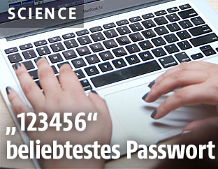 Die Hände einer Frau liegen auf der Tastatur eines Laptops