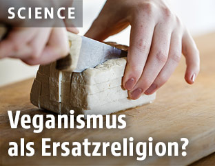 Tofu wird geschnitten