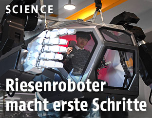 Riesenroboter