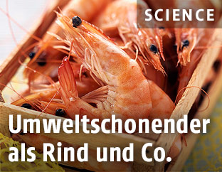 Shrimps