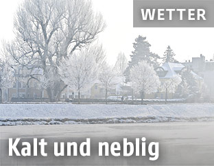 Bäume am Salzachufer mit Raureif