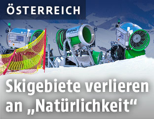 Schneekanonen
