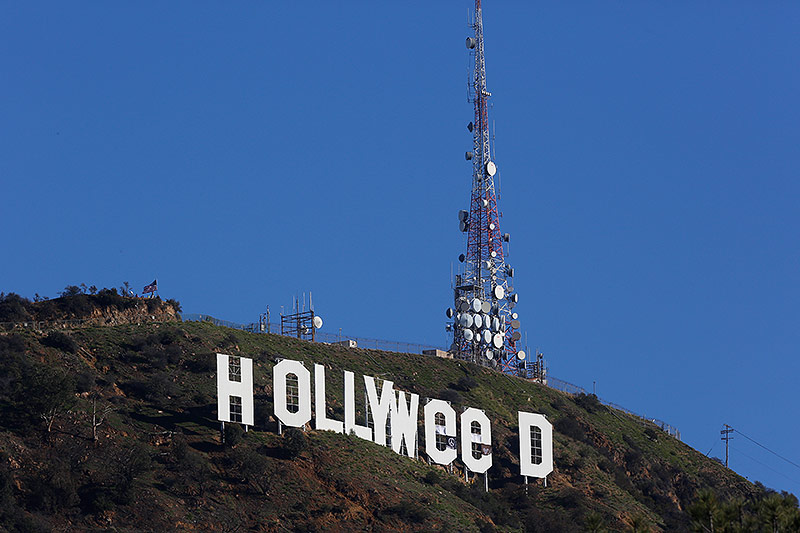 © APA/AP/Damian Dovarganes Hollyweed-Schriftzug