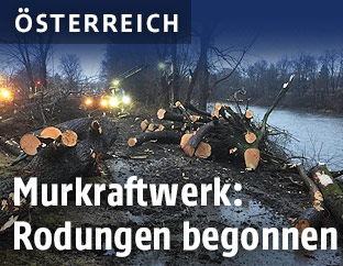 Rodungen f&uuml;r die Staustufe Puntigam in Graz