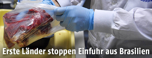 Ein Stück Fleisch wird im Labor untersucht