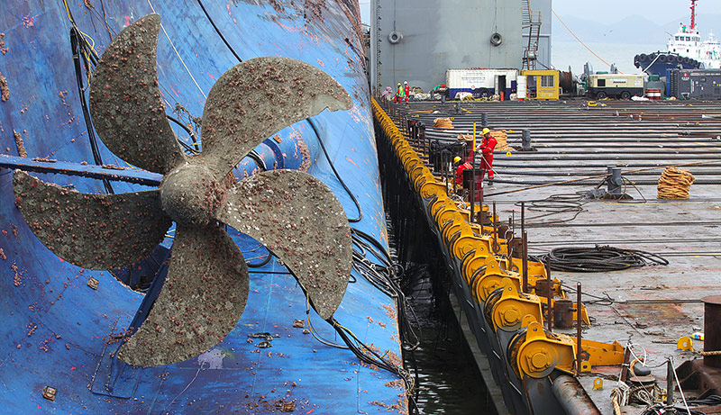 © APA/AFP/South Korean Maritime Ministry Bergung der Fähre "Sewol"