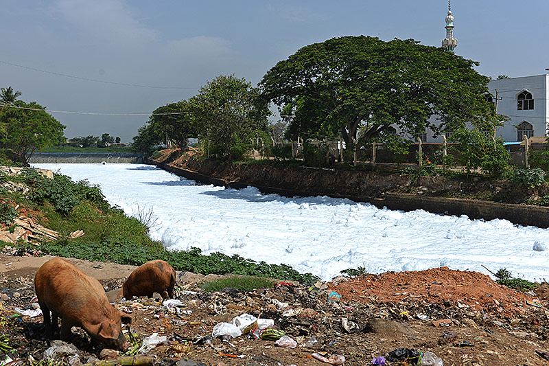 © APA/AFP/Manjunath Kiran Schaum auf einem Fluss in Bangalore