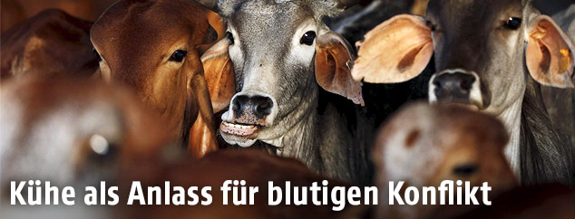 K&uuml;he