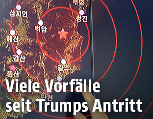 Seismische Wellen auf einem Monitor