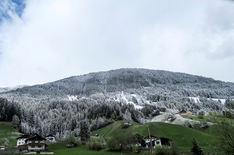 © Reuters/Dominic Ebenbichler Eindrüche vom späten Wintereinbruch