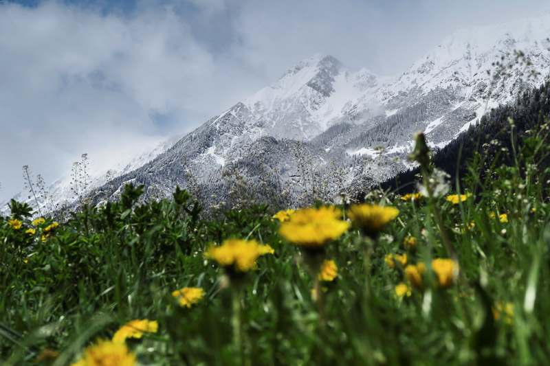 © Reuters/Dominic Ebenbichler Eindrüche vom späten Wintereinbruch