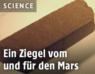 Einer der "Marsziegel"