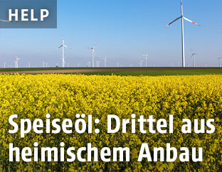 Rapsfelder