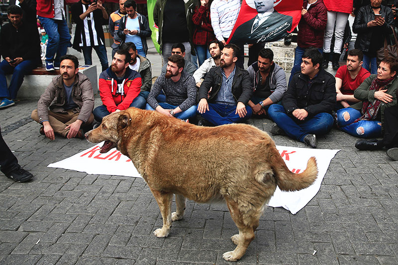 Demonstranten in Istanbul