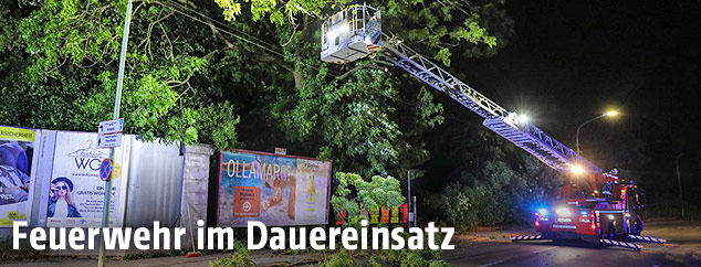 Feuerwehr beseitigt abgeknickte &Auml;ste