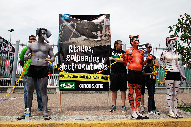 © Reuters/Daniel Becerril Demonstration gegen die Ringling Bros.